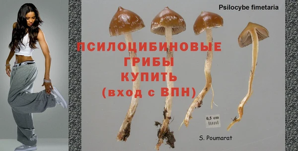 ГАЛЛЮЦИНОГЕННЫЕ ГРИБЫ Медногорск