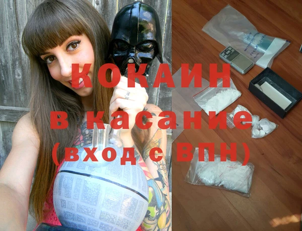 шишки Володарск