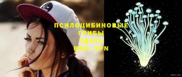 ГАЛЛЮЦИНОГЕННЫЕ ГРИБЫ Медногорск