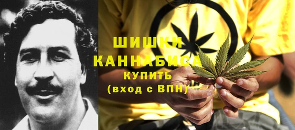 ГАЛЛЮЦИНОГЕННЫЕ ГРИБЫ Медногорск
