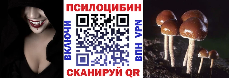 Галлюциногенные грибы Magic Shrooms  где купить наркотик  Вихоревка 