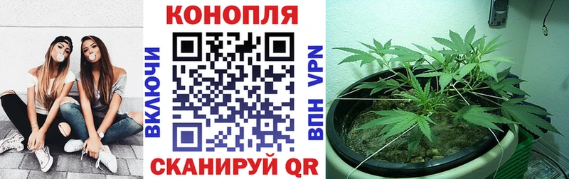 Бошки марихуана AK-47  ссылка на мегу ONION  Вихоревка  наркота 